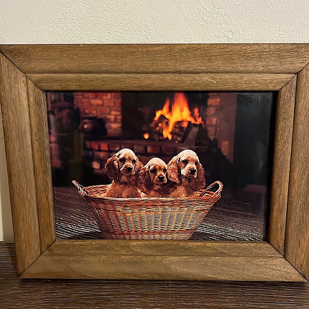 Framed Puppy Photo